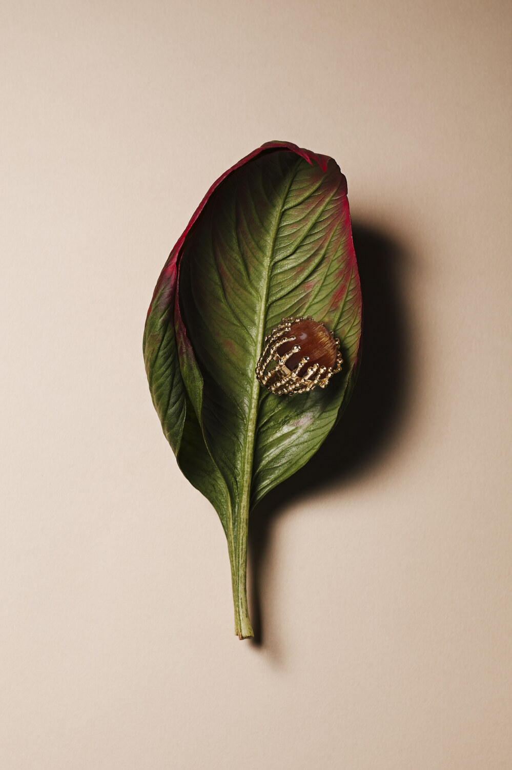 Bague ambre Garnazelle posée sur une feuille verte et rouge