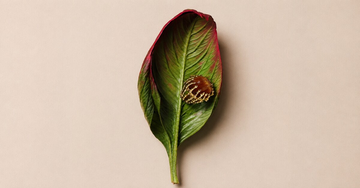 Boule d'Amour ambre Garnazelle posée sur une feuille verte et rouge
